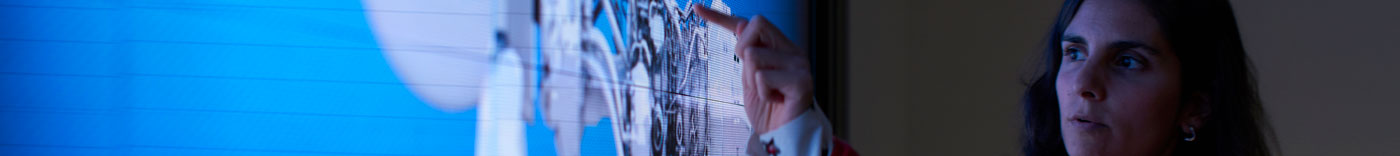 Bild zu Vice President Solutions - SAP Transformation Delivery